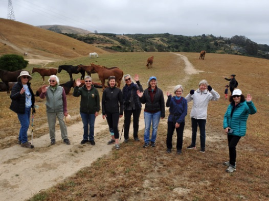 A hike on Horse Hill offered views of the Golden Gate as well as closeups of the equine residents.